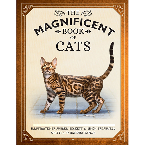 Magnificent Book Of Cats