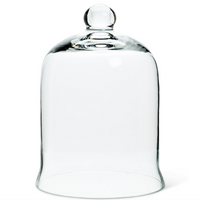 Glass Bell Shaped Cloche