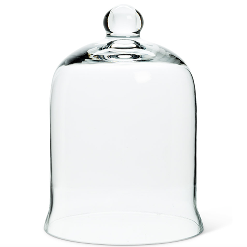 Glass Bell Shaped Cloche