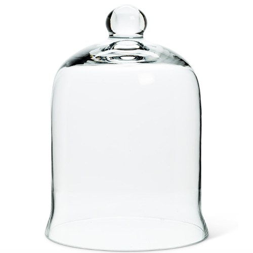 Glass Bell shaped cloche