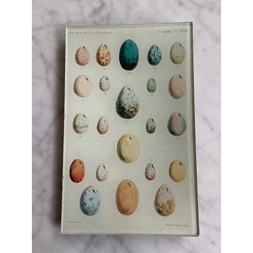 Maison Yiliy Plate  Bird Eggs