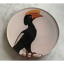 Assiette Oiseau Drôle Maison Yiliy