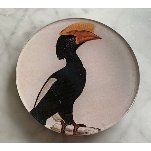 Maison Yiliy Funny Bird plate