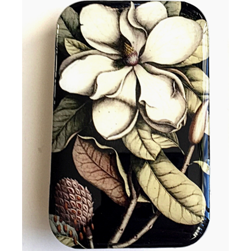Tin de Magnolia