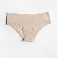 Blush  Micro Lace Trim Hipster Nude