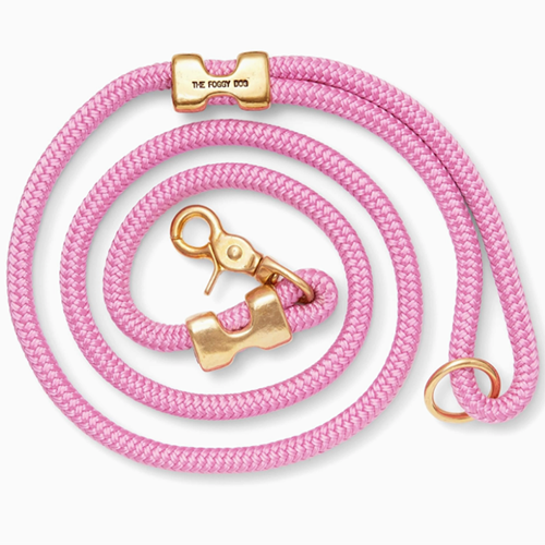 Laisse pour chien en corde marine Orchid
