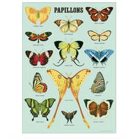 Cavallini  Wrap Papillons