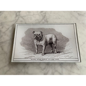 Maison Yiliy Plate Bulldog  White