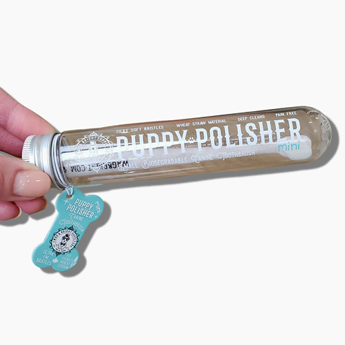 Brosse à dents Mini Polisher pour chiots S/M