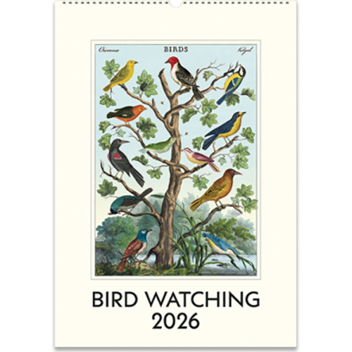 Cavallini 2026 Calendar Bird Watching
