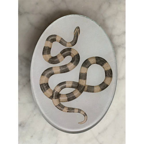 Maison Yiliy Snake Plate