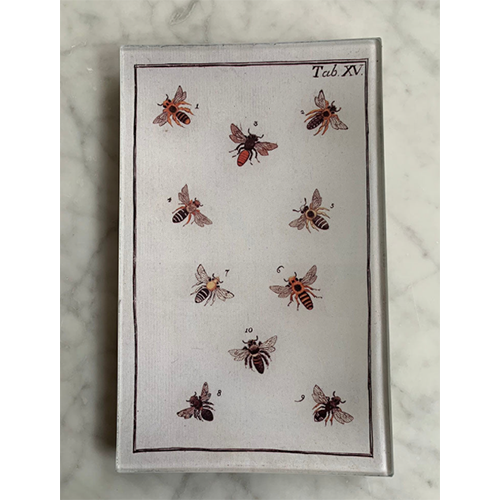 Maison Yiliy Plaque à Abeille