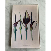 Maison Yiliy Cally Lily rectangular Plate