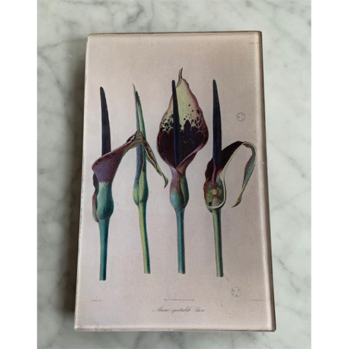 Maison Yiliy Cally Lily rectangular Plate