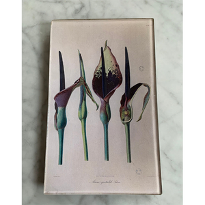 Maison Yiliy Cally Lily rectangular Plate