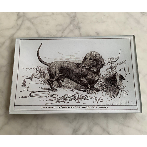 Maison Yiliy Dachshund Plate