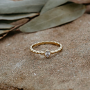 Couronne de houx Glee