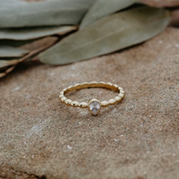 Couronne de houx Glee
