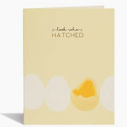 Card Baby Chick