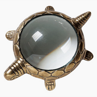 Turtle Magnifier
