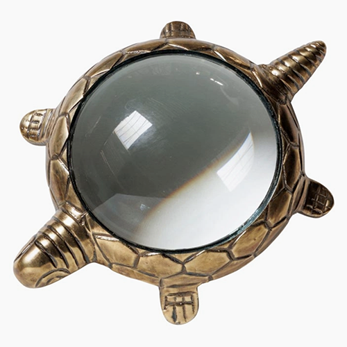 Turtle Magnifier