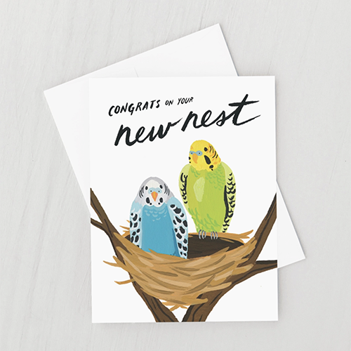 Nouvelle carte Nest