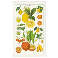 Cavallini Tea Towel Citrus