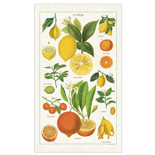Cavallini Tea Towel Citrus