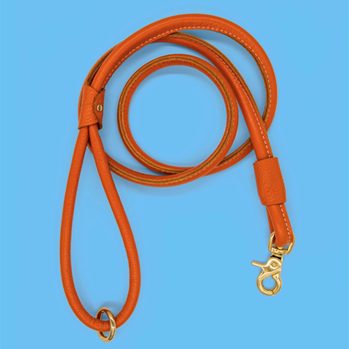 Chic Leather Leash- Orange
