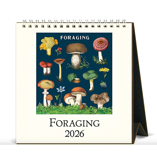 Cavallini 2026 Desk Calendar Foraging