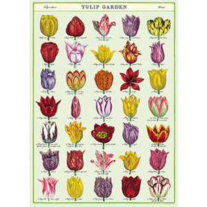 Cavallini Wrap Tulip Garden