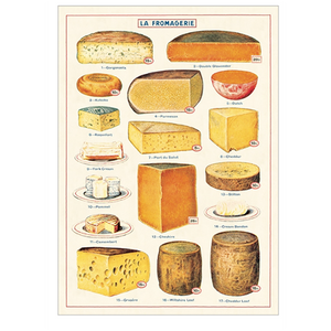 Cavallini Gift Wrap Cheese