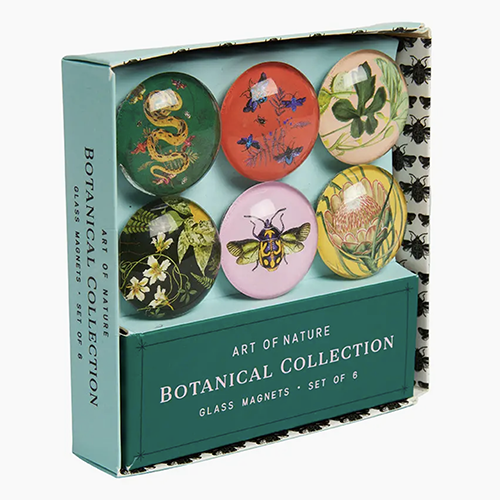Art of Nature Botanical Glass Magnet Set
