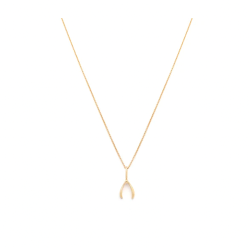 Leah Alexandra Wishbone Necklace