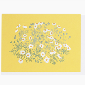 Chamomile Note Card