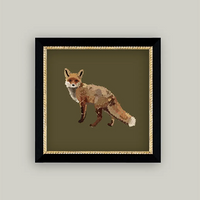 Fox Closeup