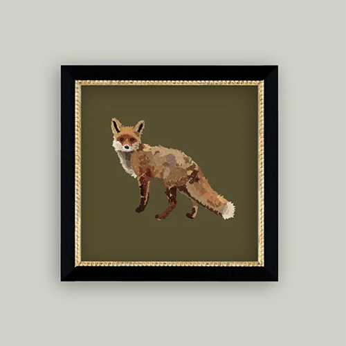 Fox Closeup