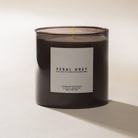 Poured New York Candle Feral Grey