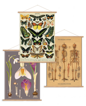 Cavallini Vertical Poster Hanging Kit