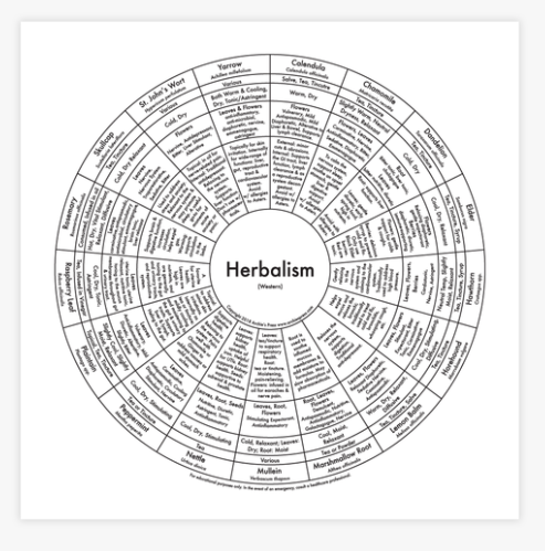 Imprimer "Herboristerie" d'Archie's Press