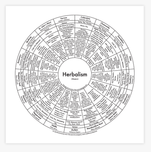 Archie's Press Print "Herbalism"