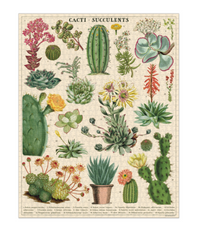 Cavallini Cacti & Succulents 1000 Piece Puzzle