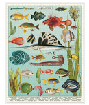 Cavallini  Aquarium 1000 Piece Puzzle