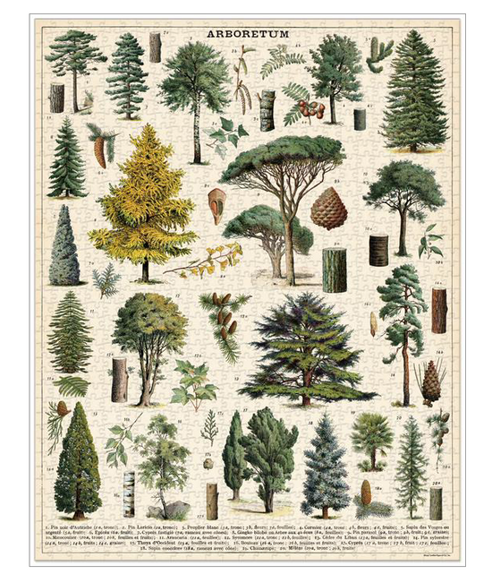 Puzzle de 1000 pièces Cavallini Arboretum