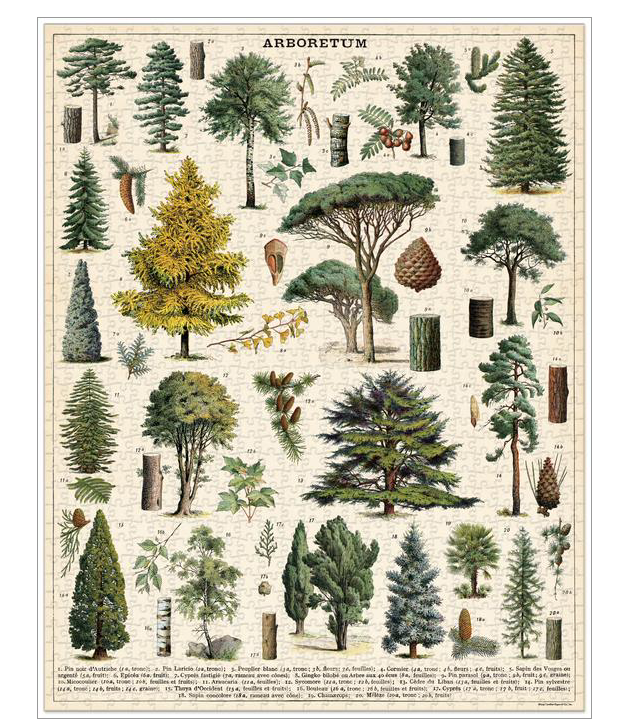 Cavallini Arboretum 1000 Piece Puzzle