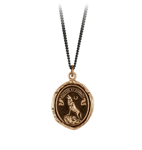 Pyrrha Struggle and Emerge Necklace 18"